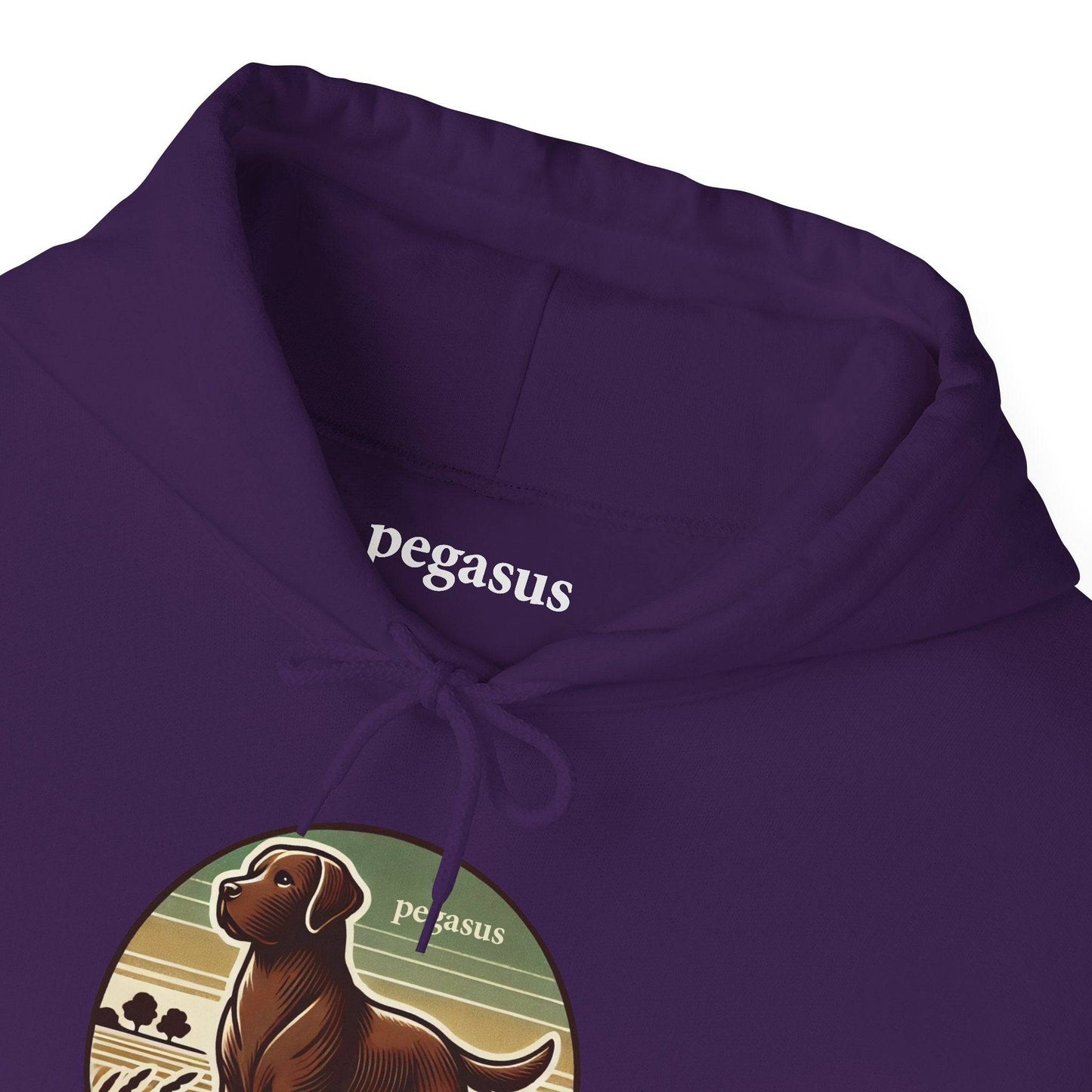 Pegasus Chocolate Labrador Retriever Hoodie Sweatshirt - Pegasus Outdoors