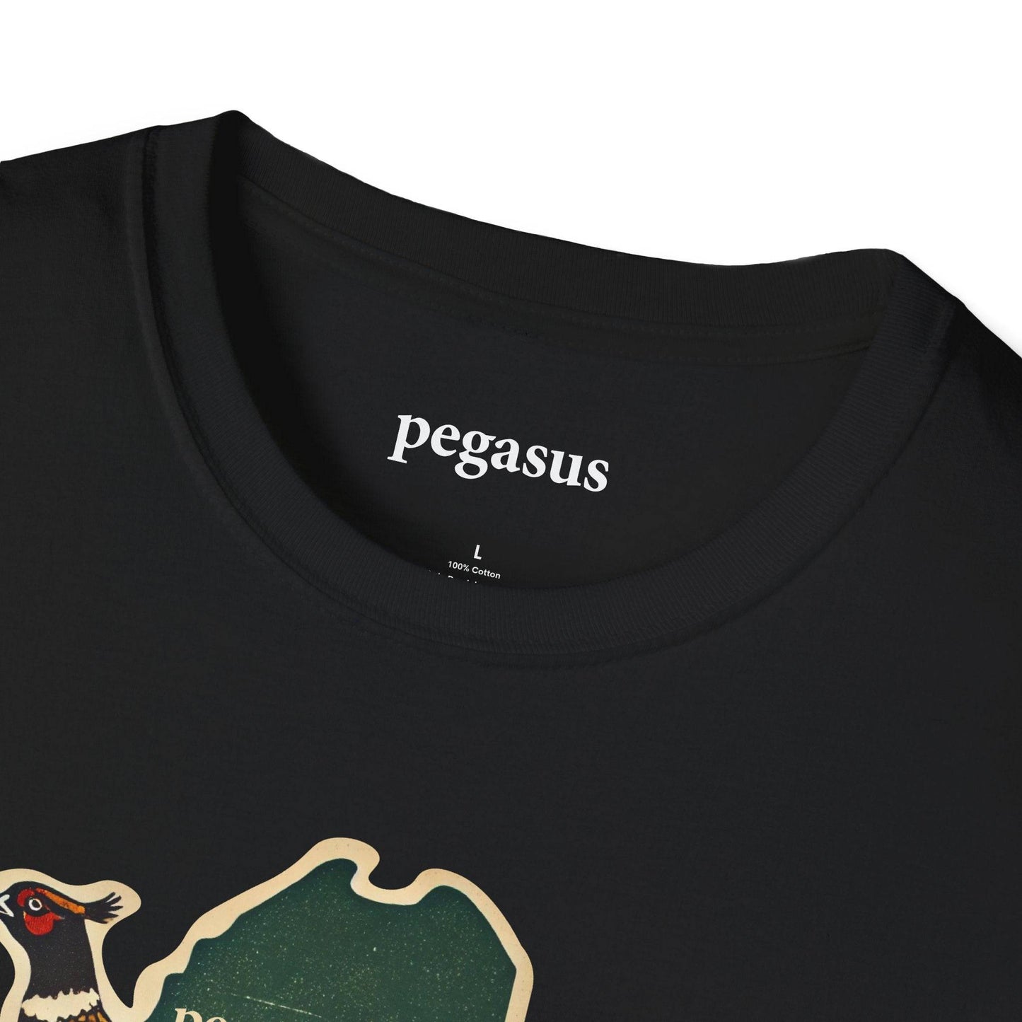 Pegasus Maine Pheasant T-Shirt - Pegasus Outdoors