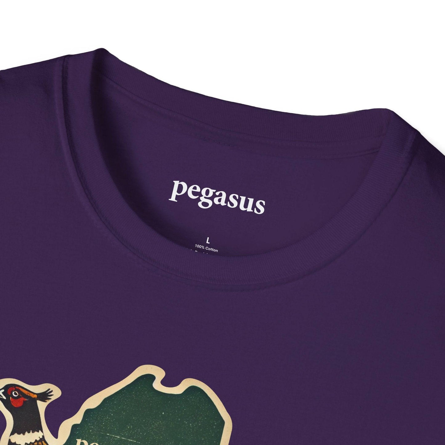 Pegasus Maine Pheasant T-Shirt - Pegasus Outdoors