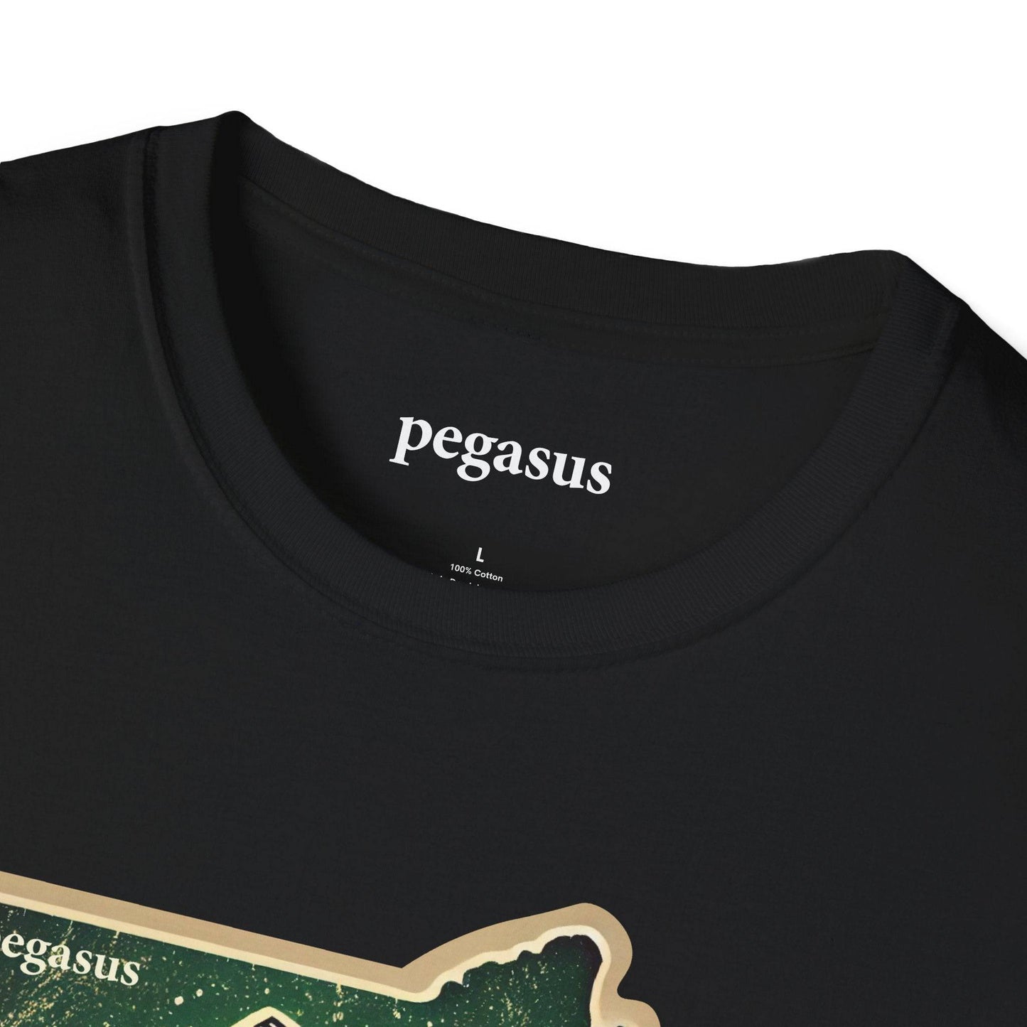 Pegasus Massachusetts Brook Trout T-Shirt - Pegasus Outdoors
