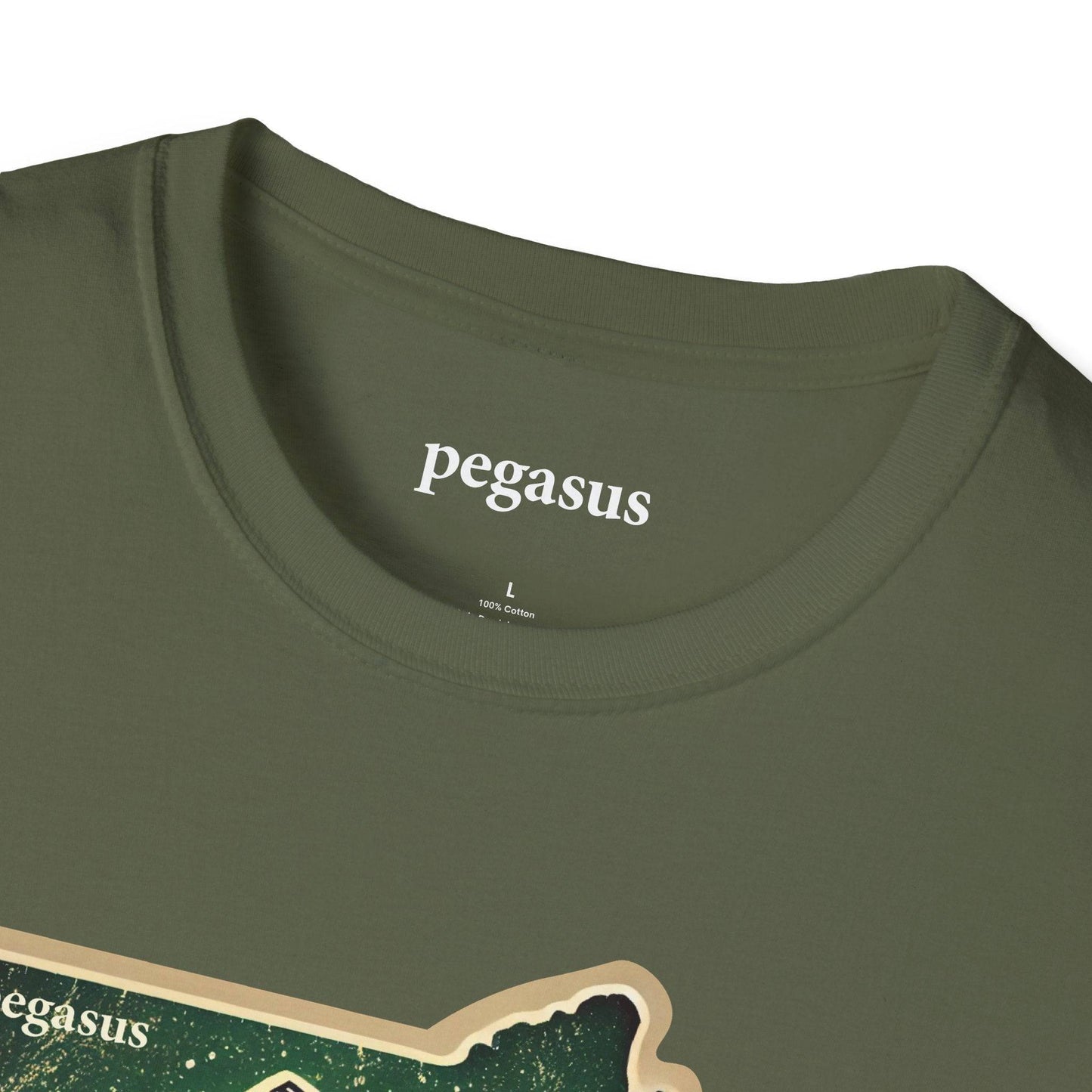 Pegasus Massachusetts Brook Trout T-Shirt - Pegasus Outdoors
