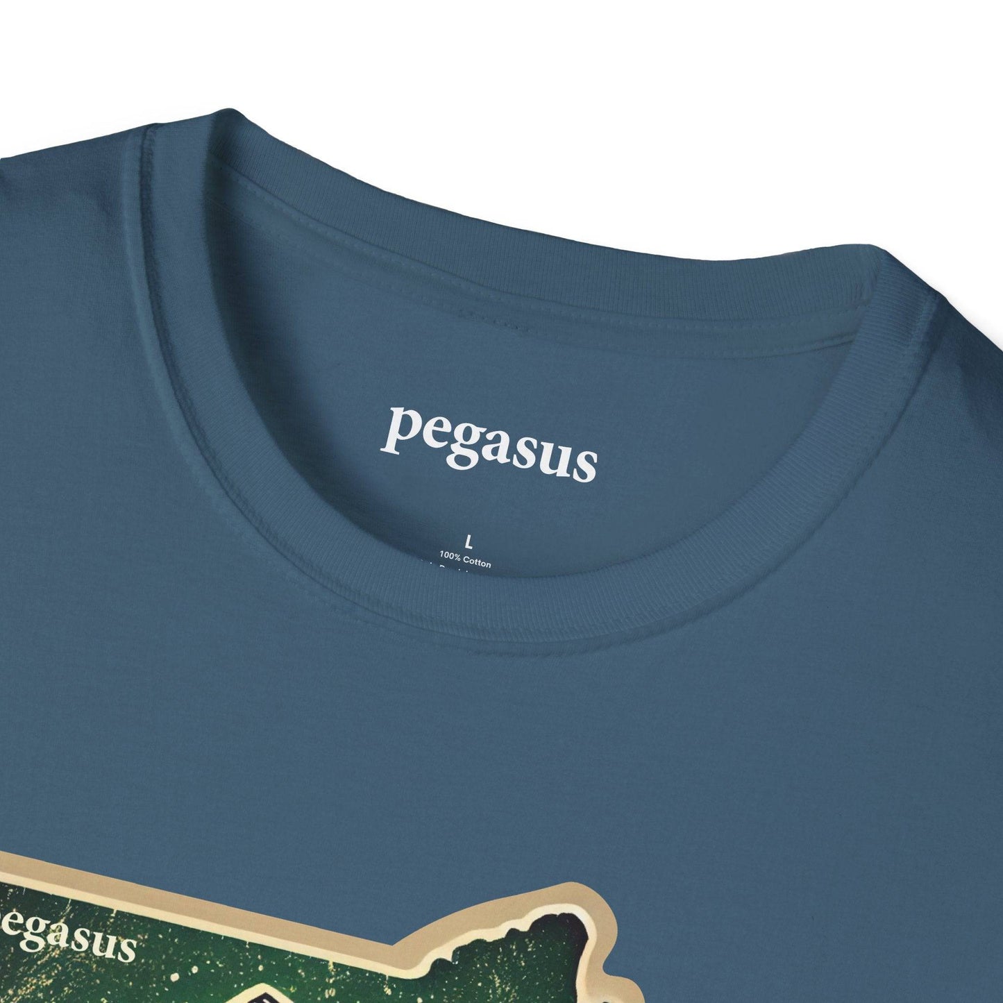 Pegasus Massachusetts Brook Trout T-Shirt - Pegasus Outdoors
