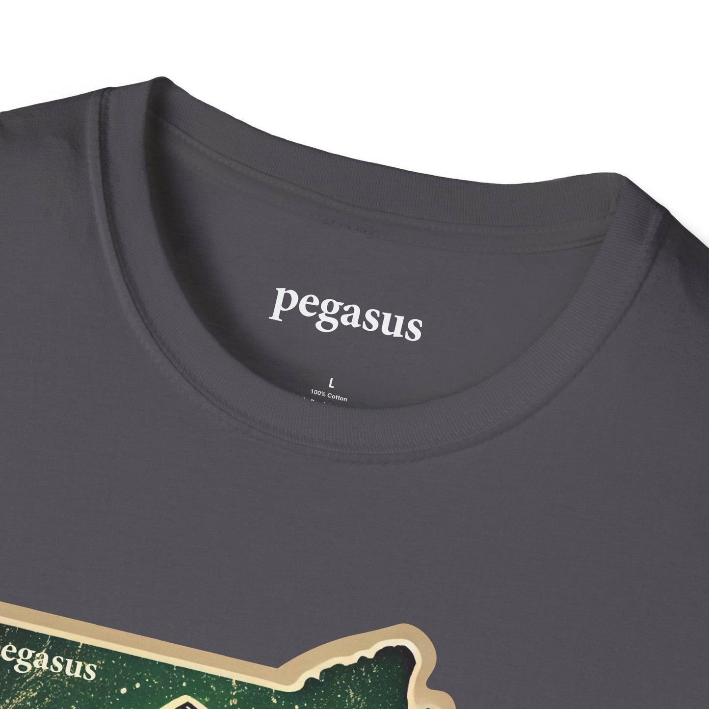 Pegasus Massachusetts Brook Trout T-Shirt - Pegasus Outdoors