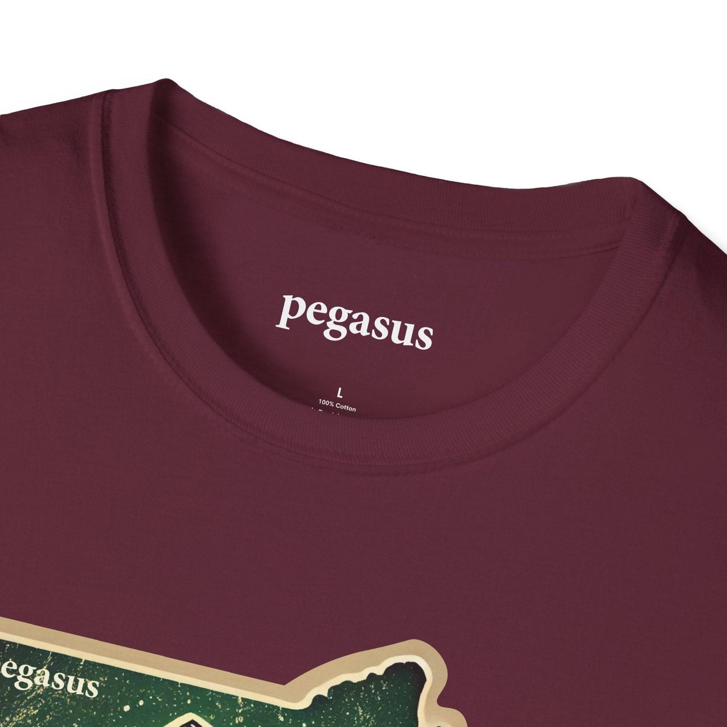 Pegasus Massachusetts Brook Trout T-Shirt - Pegasus Outdoors