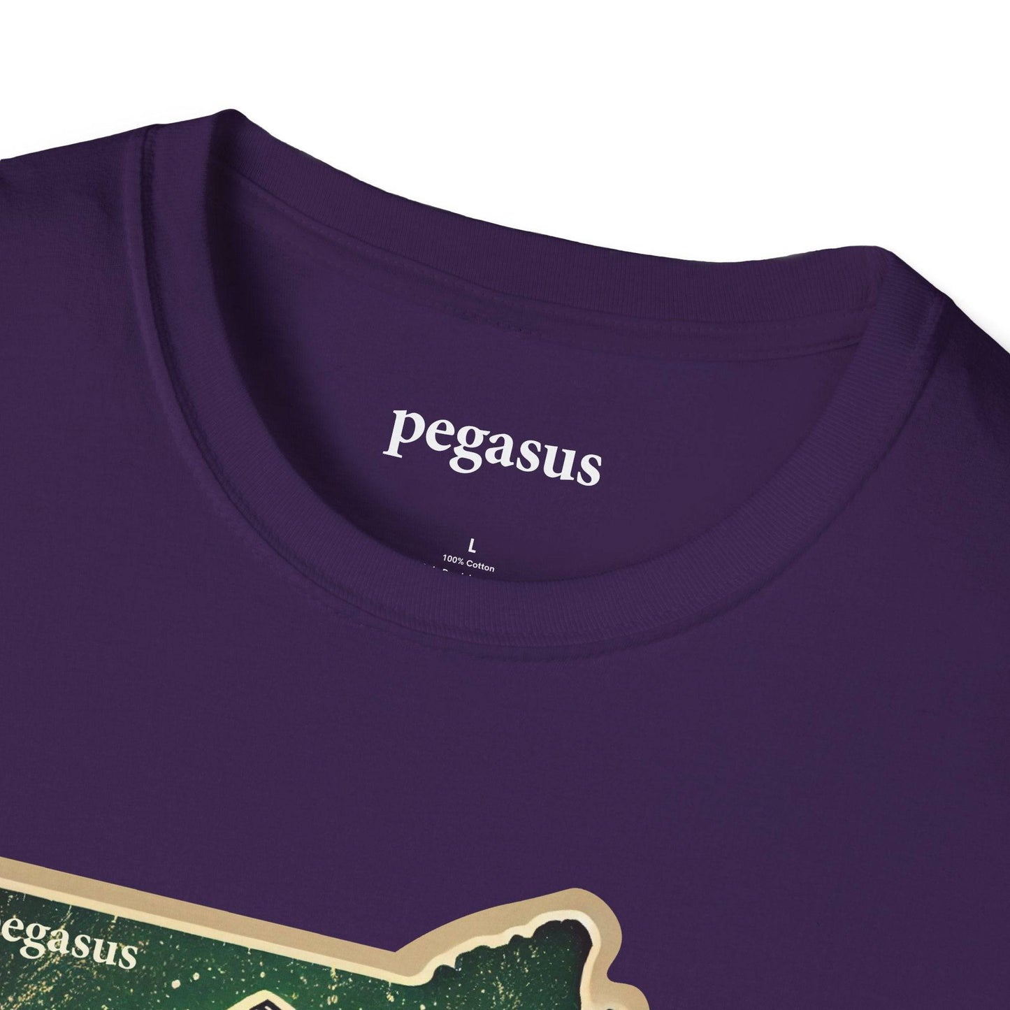 Pegasus Massachusetts Brook Trout T-Shirt - Pegasus Outdoors