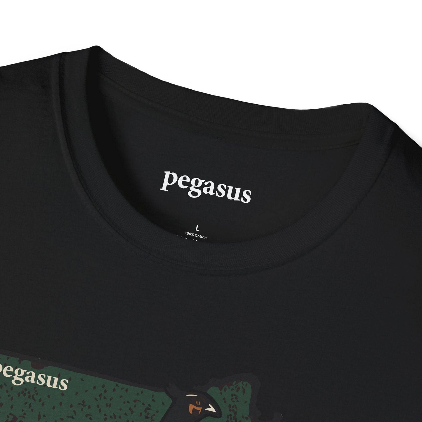 Pegasus Massachusetts Pheasant T-Shirt - Pegasus Outdoors