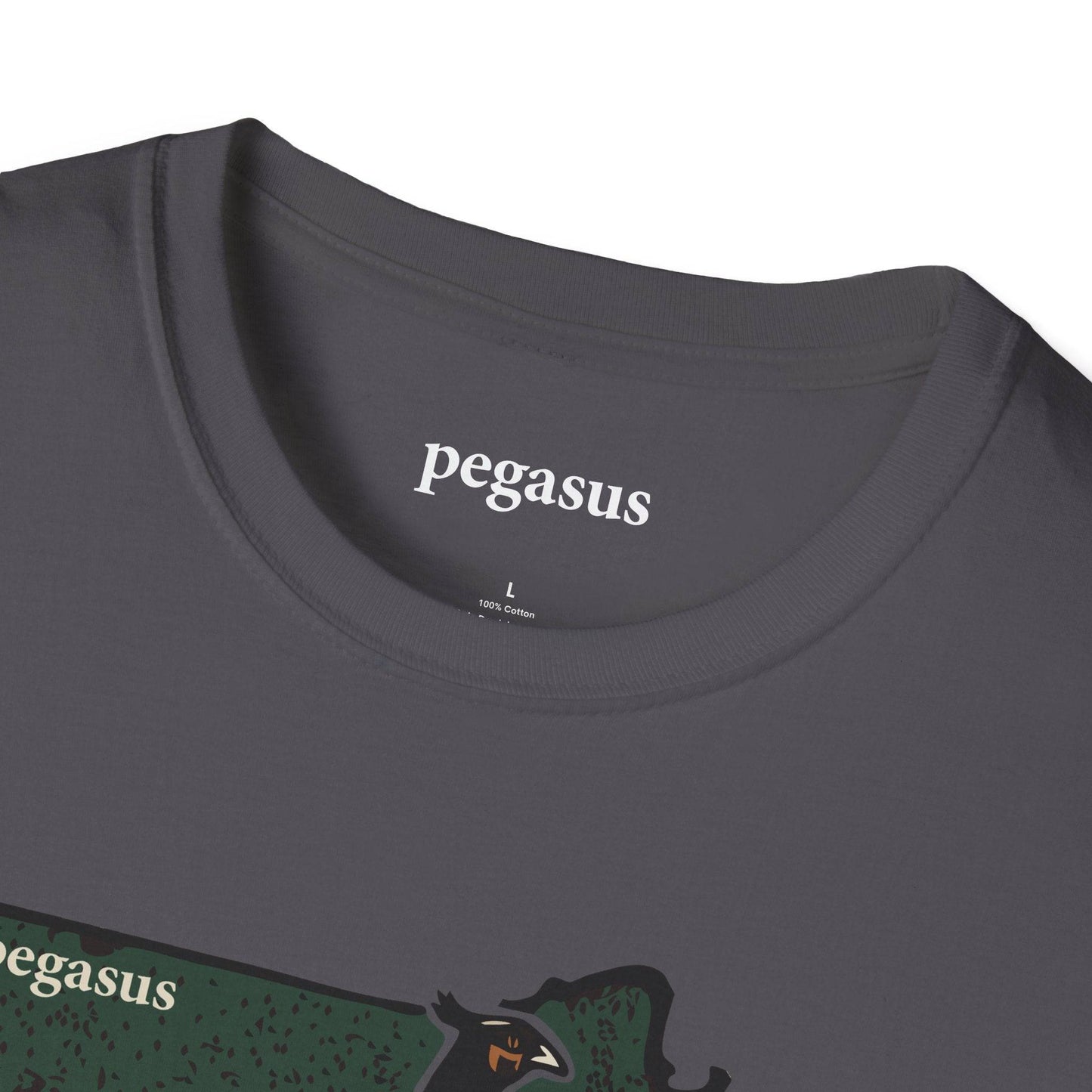 Pegasus Massachusetts Pheasant T-Shirt - Pegasus Outdoors