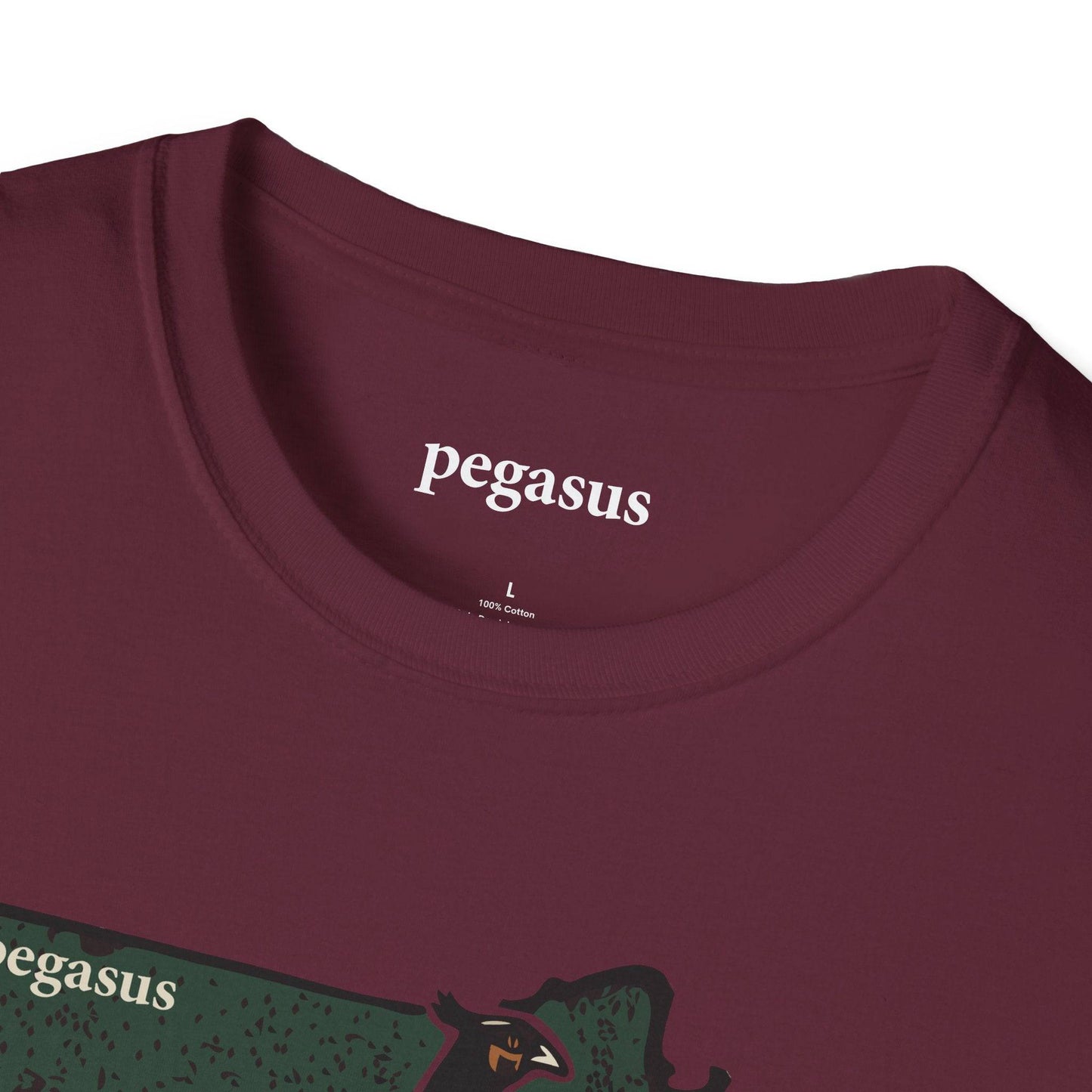 Pegasus Massachusetts Pheasant T-Shirt - Pegasus Outdoors