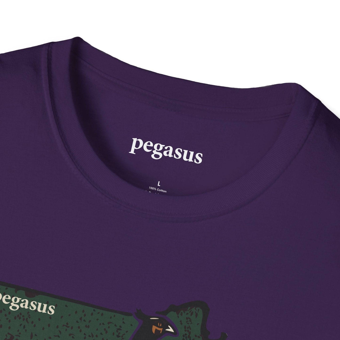 Pegasus Massachusetts Pheasant T-Shirt - Pegasus Outdoors
