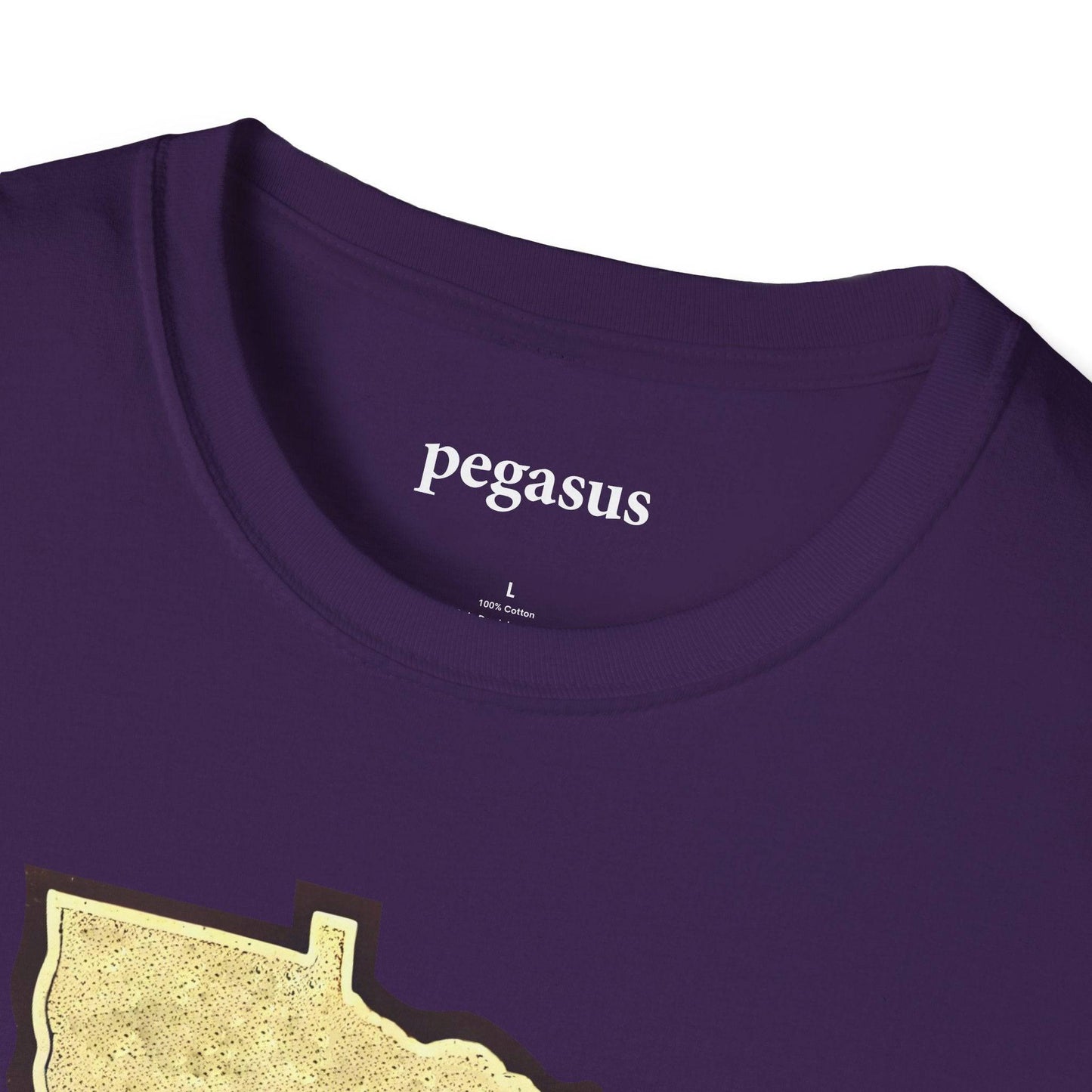 Pegasus Minnesota Pheasant T-Shirt - Pegasus Outdoors