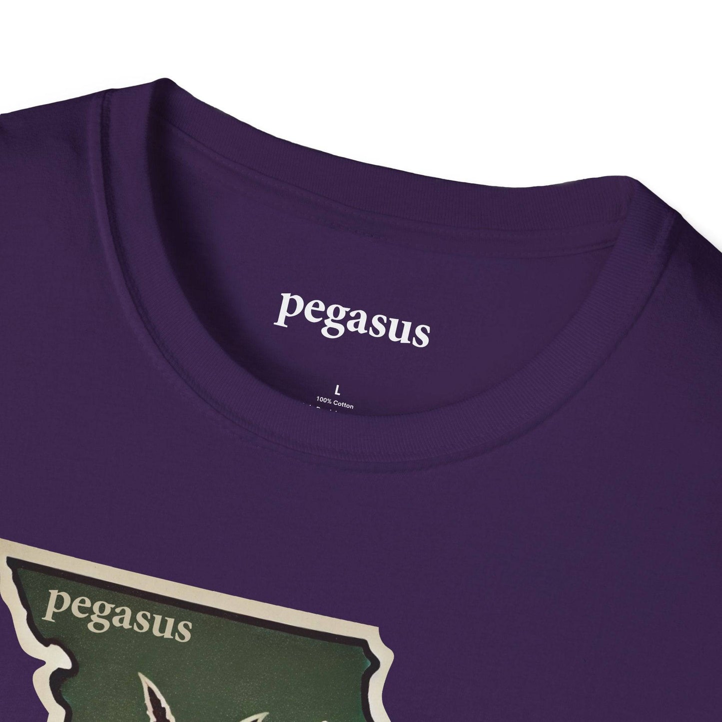 Pegasus Missouri Pheasant T-Shirt - Pegasus Outdoors