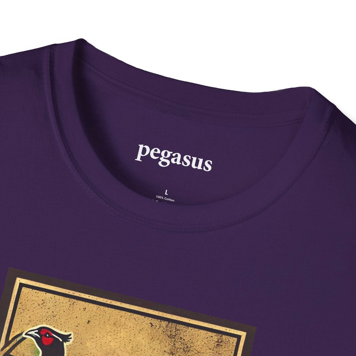 Pegasus New Mexico Pheasant T-Shirt - Pegasus Outdoors