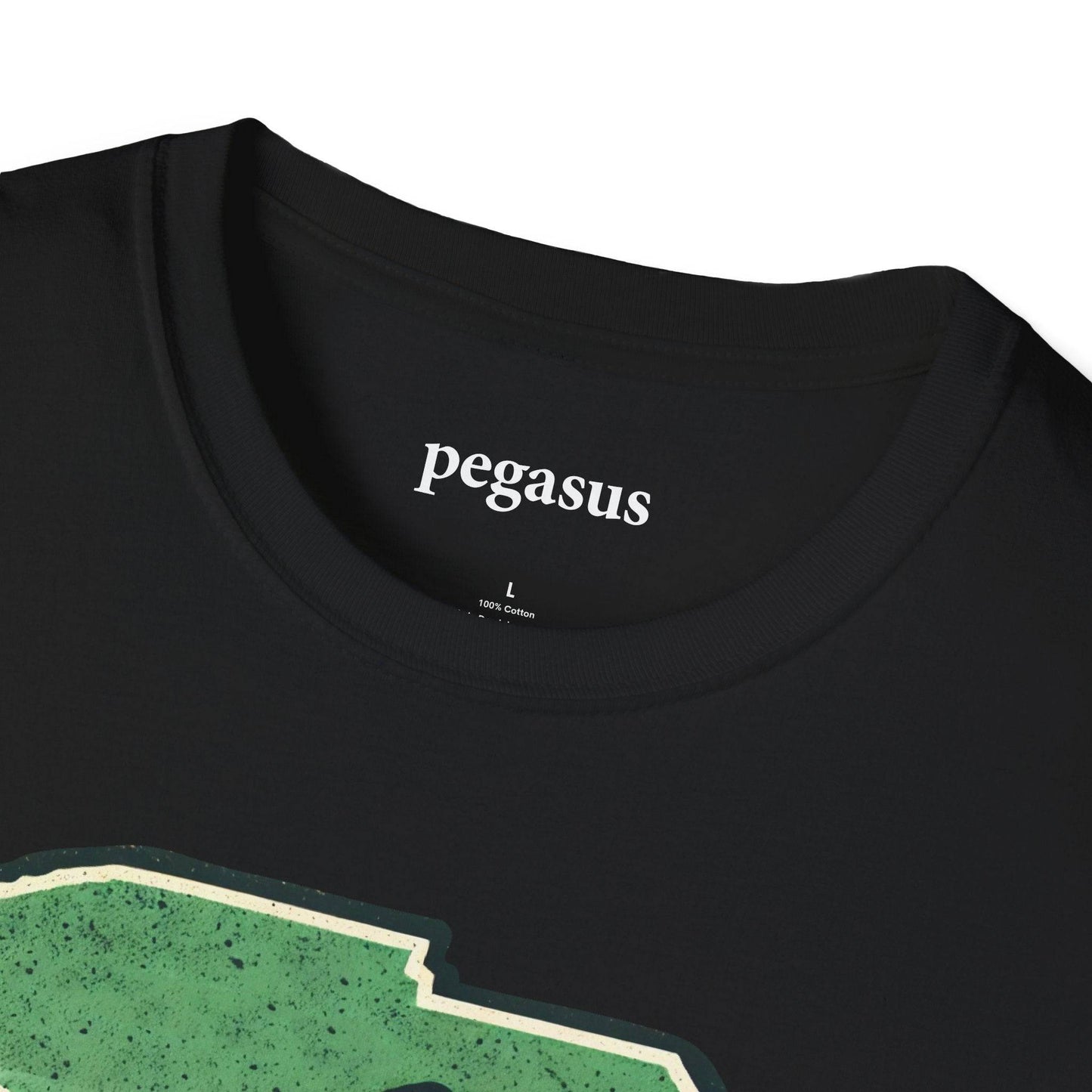 Pegasus South Carolina Rainbow Trout T-Shirt - Pegasus Outdoors