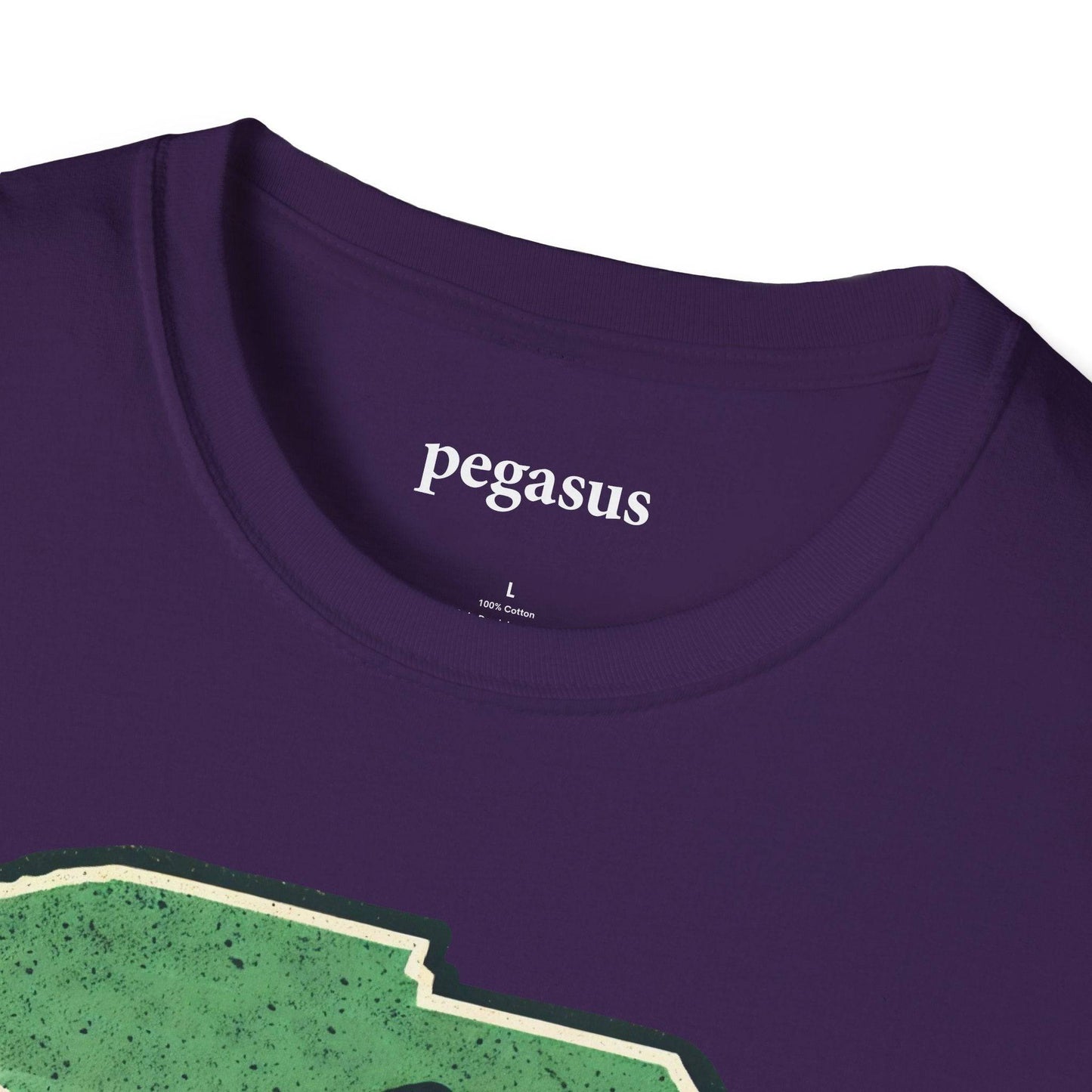 Pegasus South Carolina Rainbow Trout T-Shirt - Pegasus Outdoors