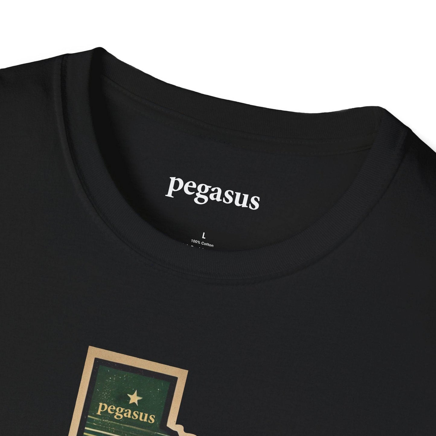 Pegasus Texas Pheasant T-Shirt - Pegasus Outdoors