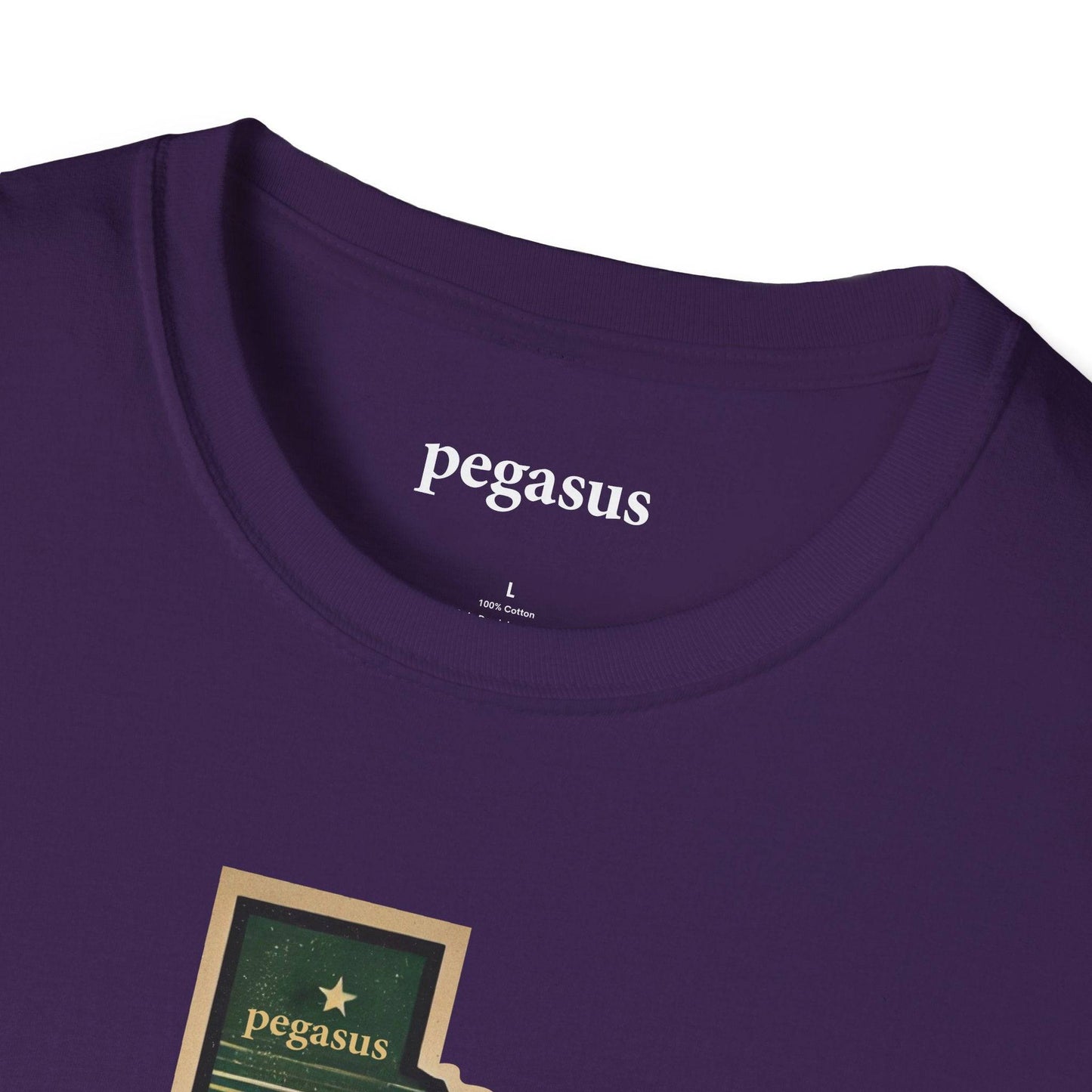 Pegasus Texas Pheasant T-Shirt - Pegasus Outdoors