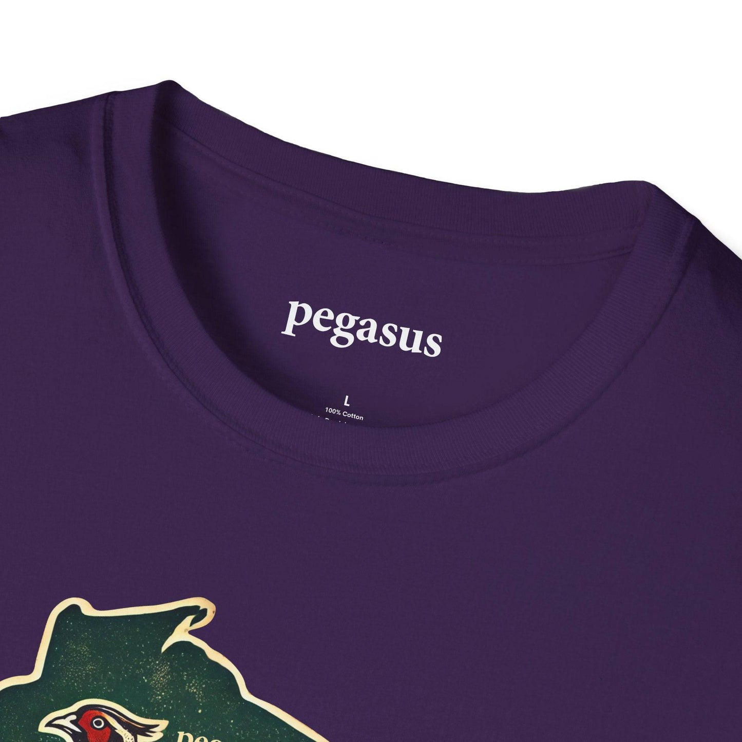 Pegasus Wisconsin Pheasant T-Shirt - Pegasus Outdoors