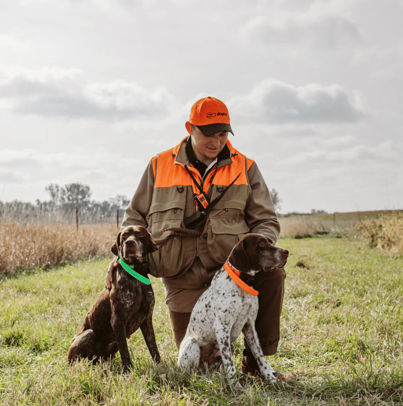 Dog Training