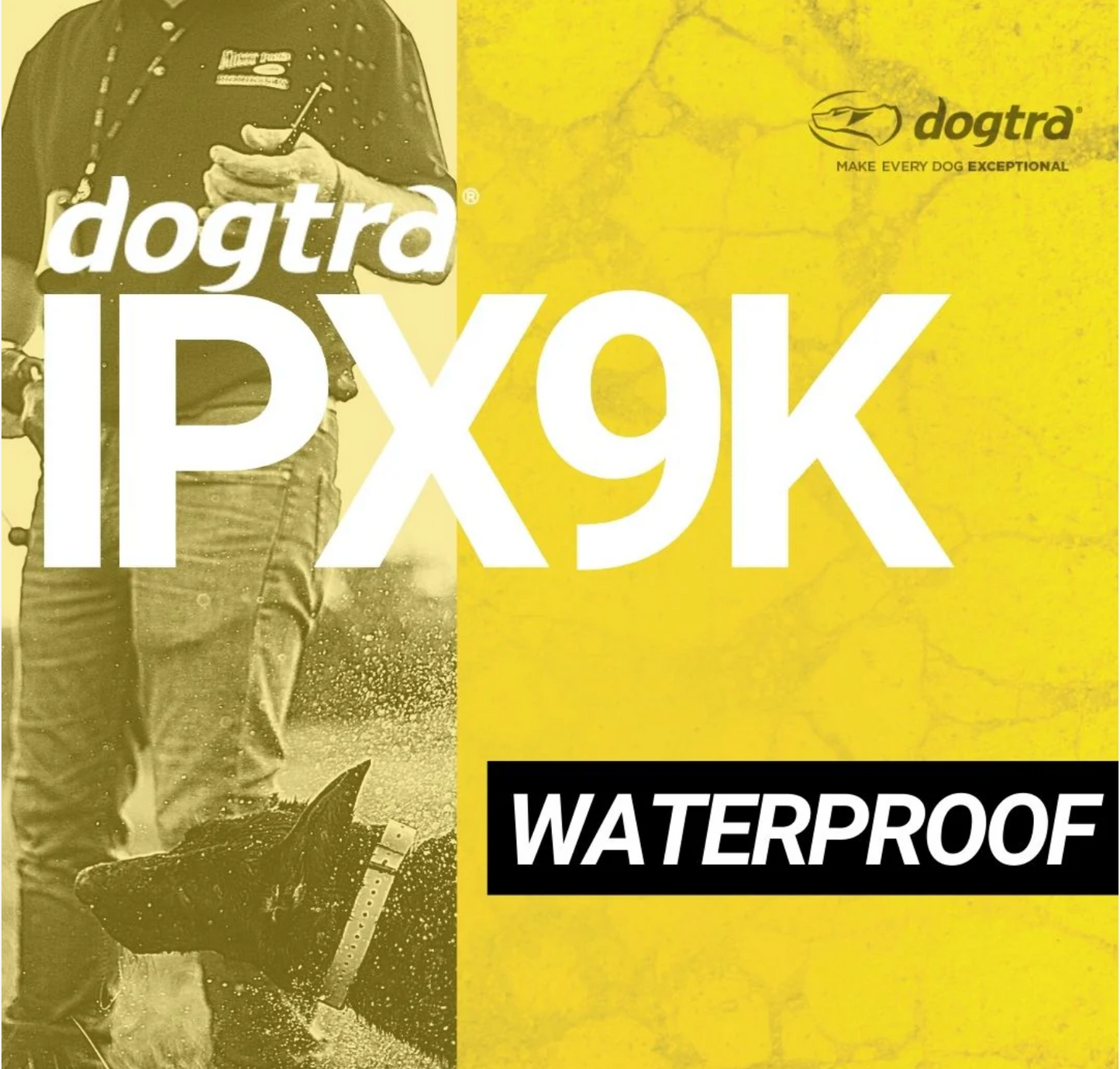 Dogtra 2700T&B Dog Training Collar IPX9K Waterproof