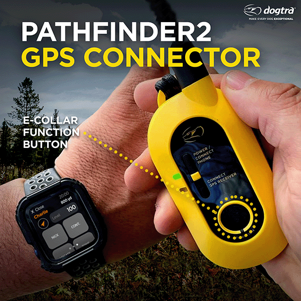 Dogtra PATHFINDER2 GPS Training and Tracking Collar