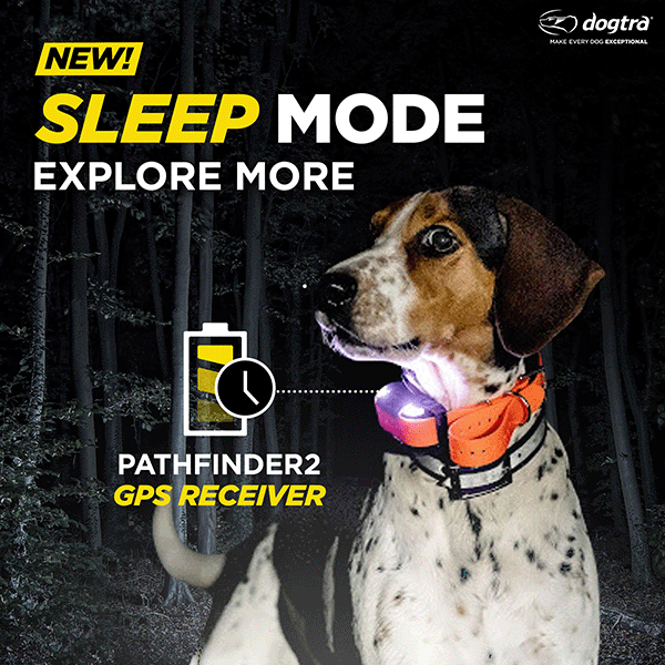 Dogtra PATHFINDER2 GPS Training and Tracking Collar