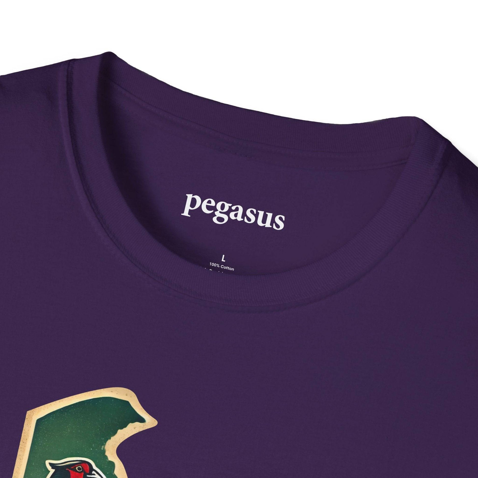 Pegasus Delaware Pheasant T-Shirt - Pegasus Outdoors