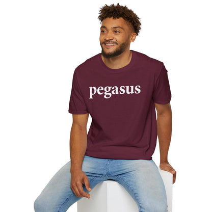 Pegasus Logo T-Shirt - Pegasus Outdoors